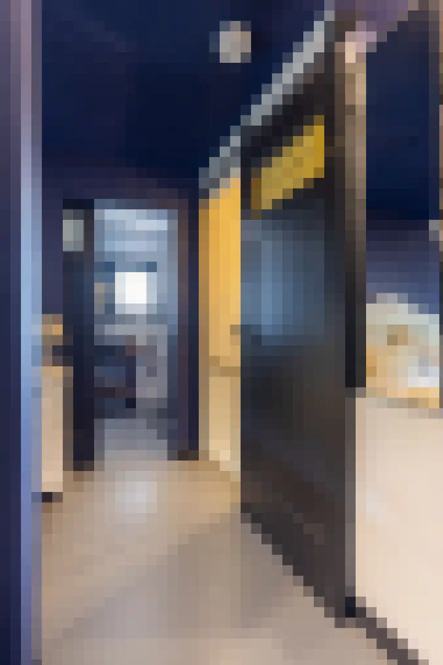 Mazenhofstraat 9 Garderen thumbnail 27