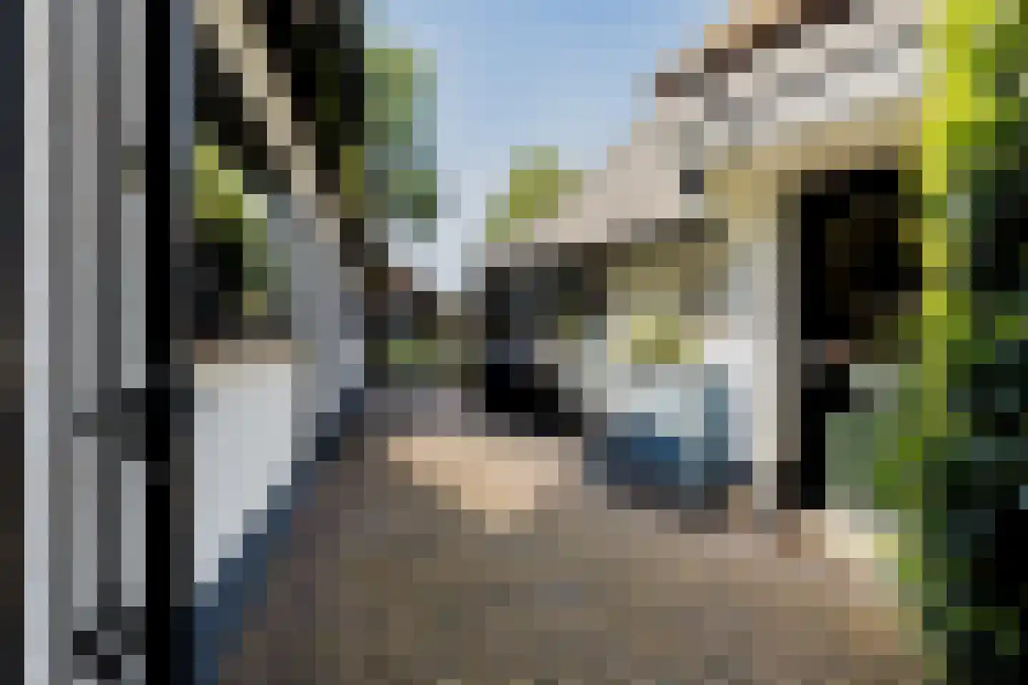 Mazenhofstraat 9 Garderen thumbnail 32