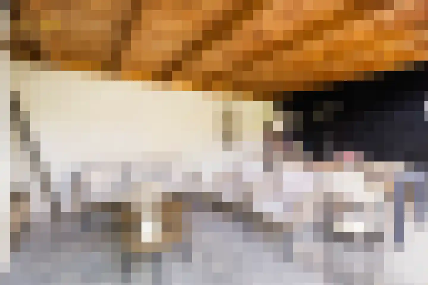 Mazenhofstraat 9 Garderen thumbnail 43