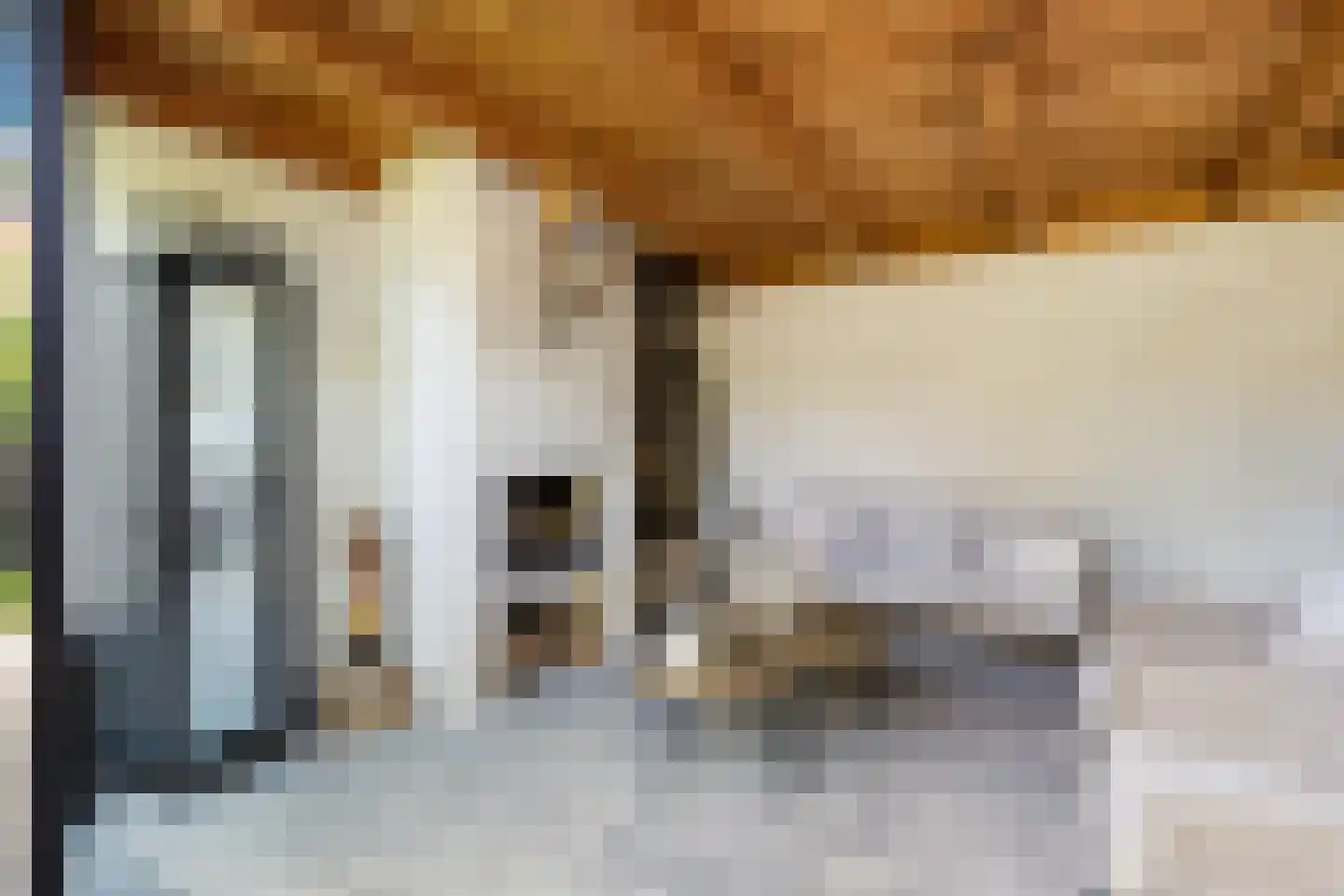 Mazenhofstraat 9 Garderen thumbnail 44