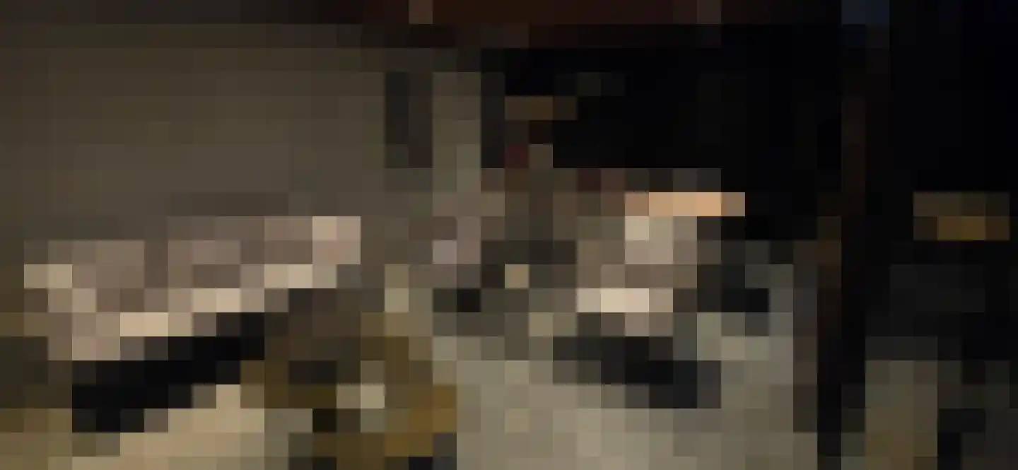 Mazenhofstraat 9 Garderen thumbnail 50
