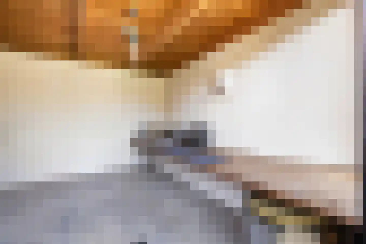 Mazenhofstraat 9 Garderen thumbnail 51