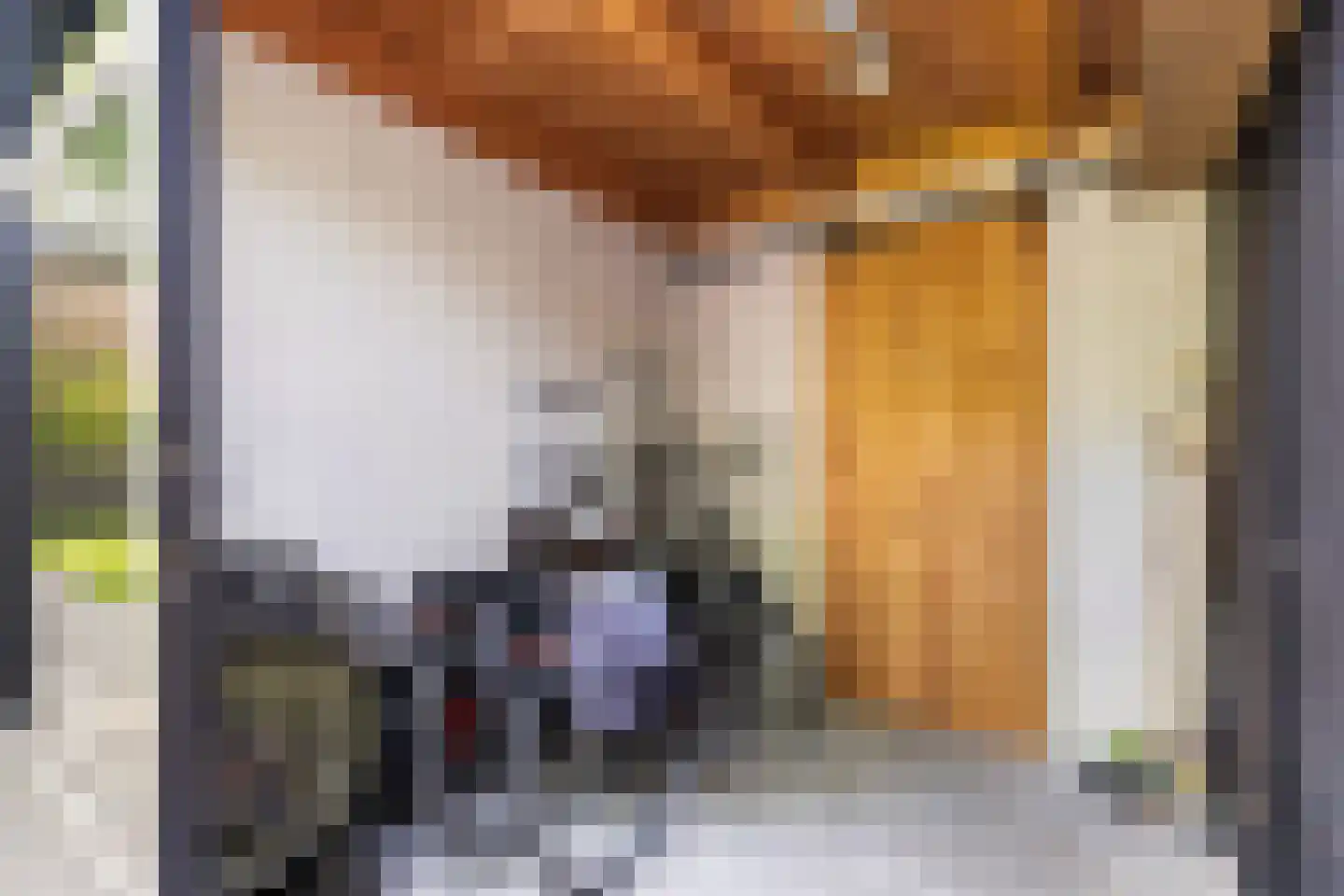 Mazenhofstraat 9 Garderen thumbnail 52