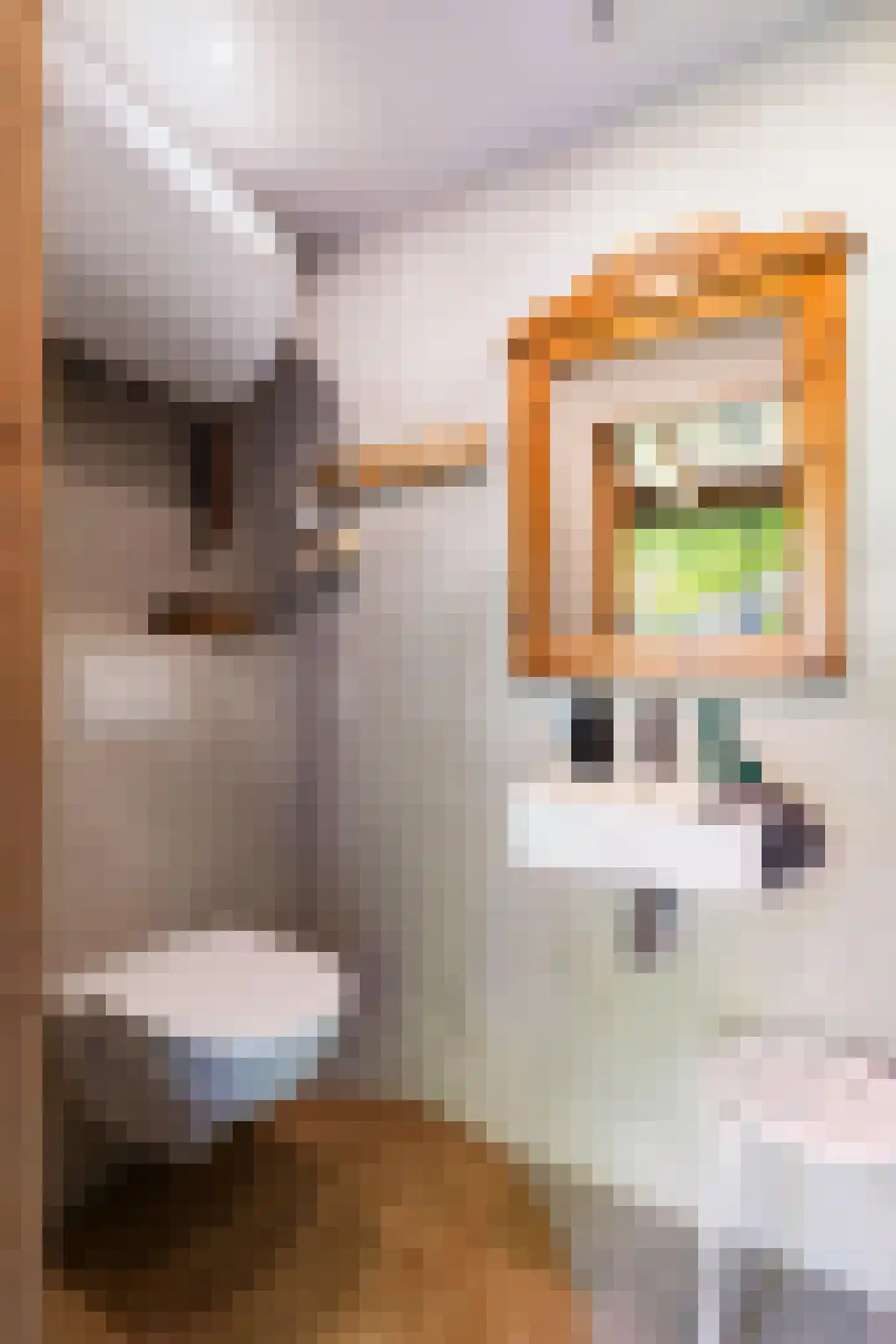 Mazenhofstraat 9 Garderen thumbnail 54