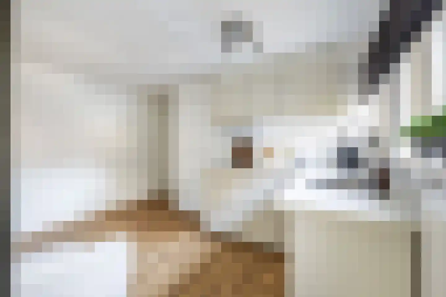 Mazenhofstraat 9 Garderen thumbnail 59