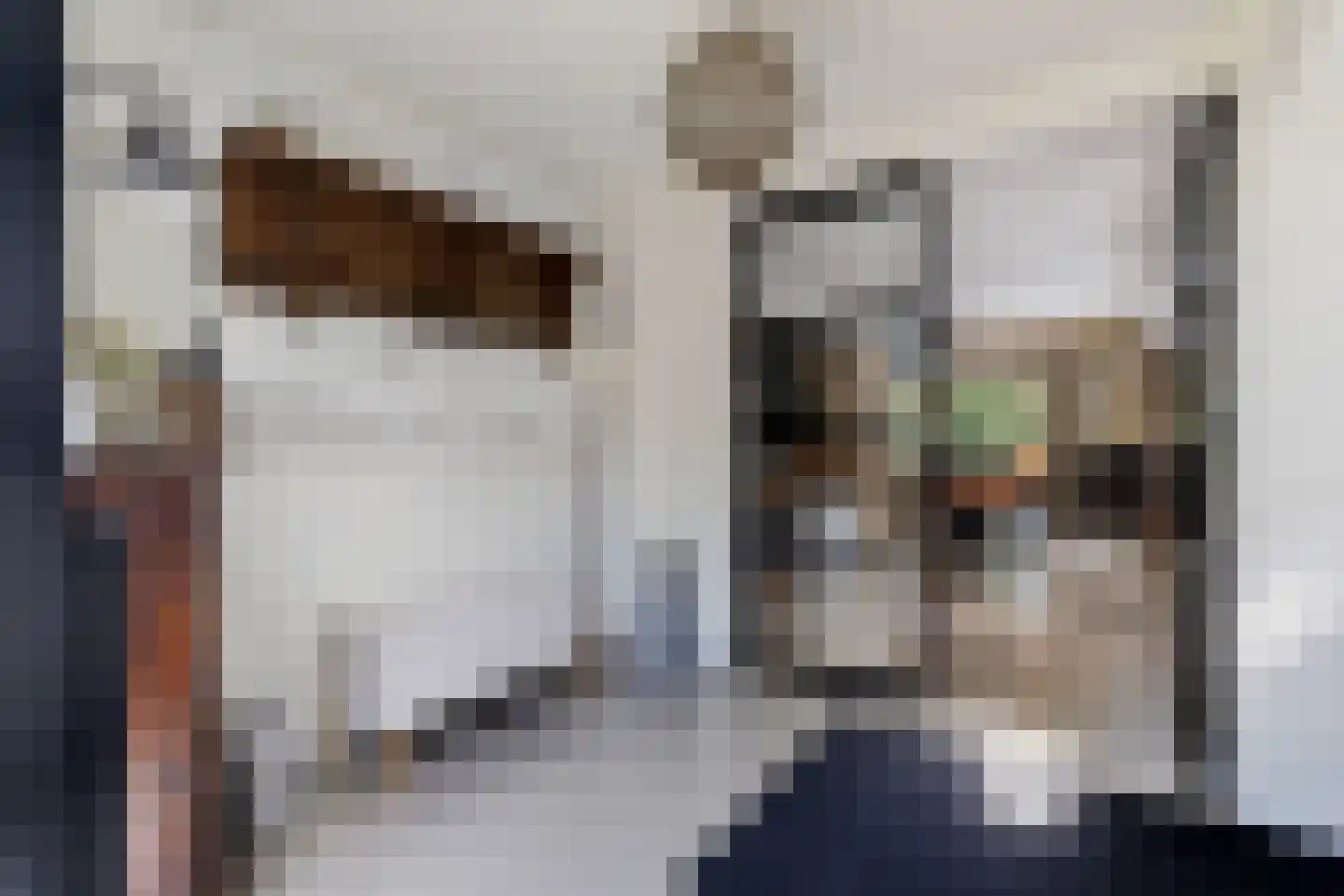 Mazenhofstraat 9 Garderen thumbnail 6