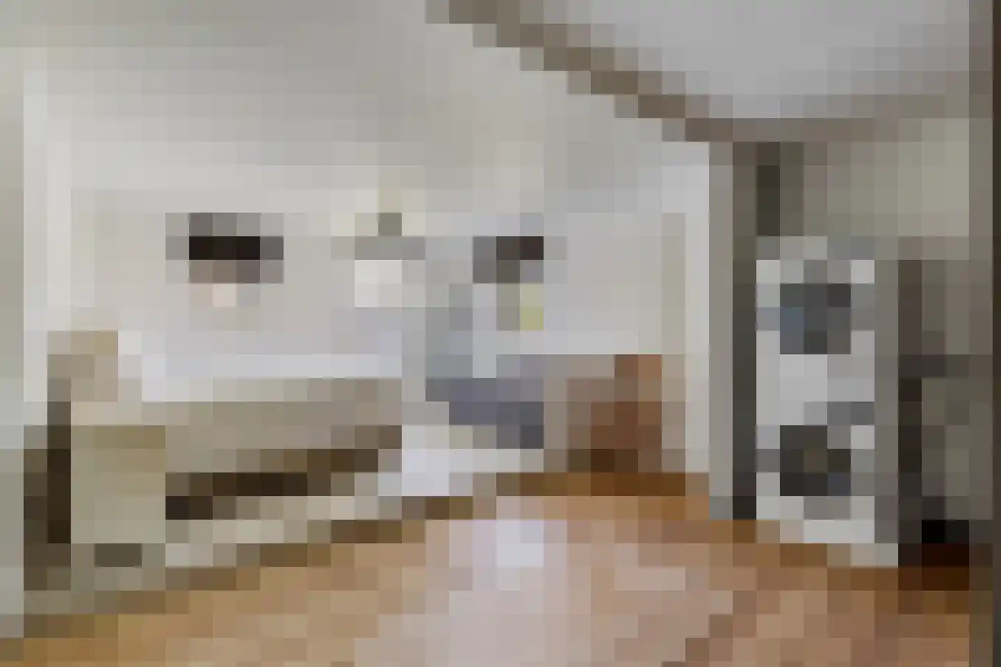 Mazenhofstraat 9 Garderen thumbnail 61