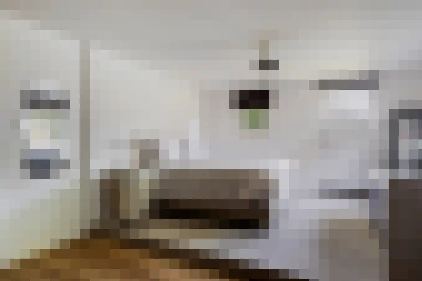 Mazenhofstraat 9 Garderen thumbnail 62