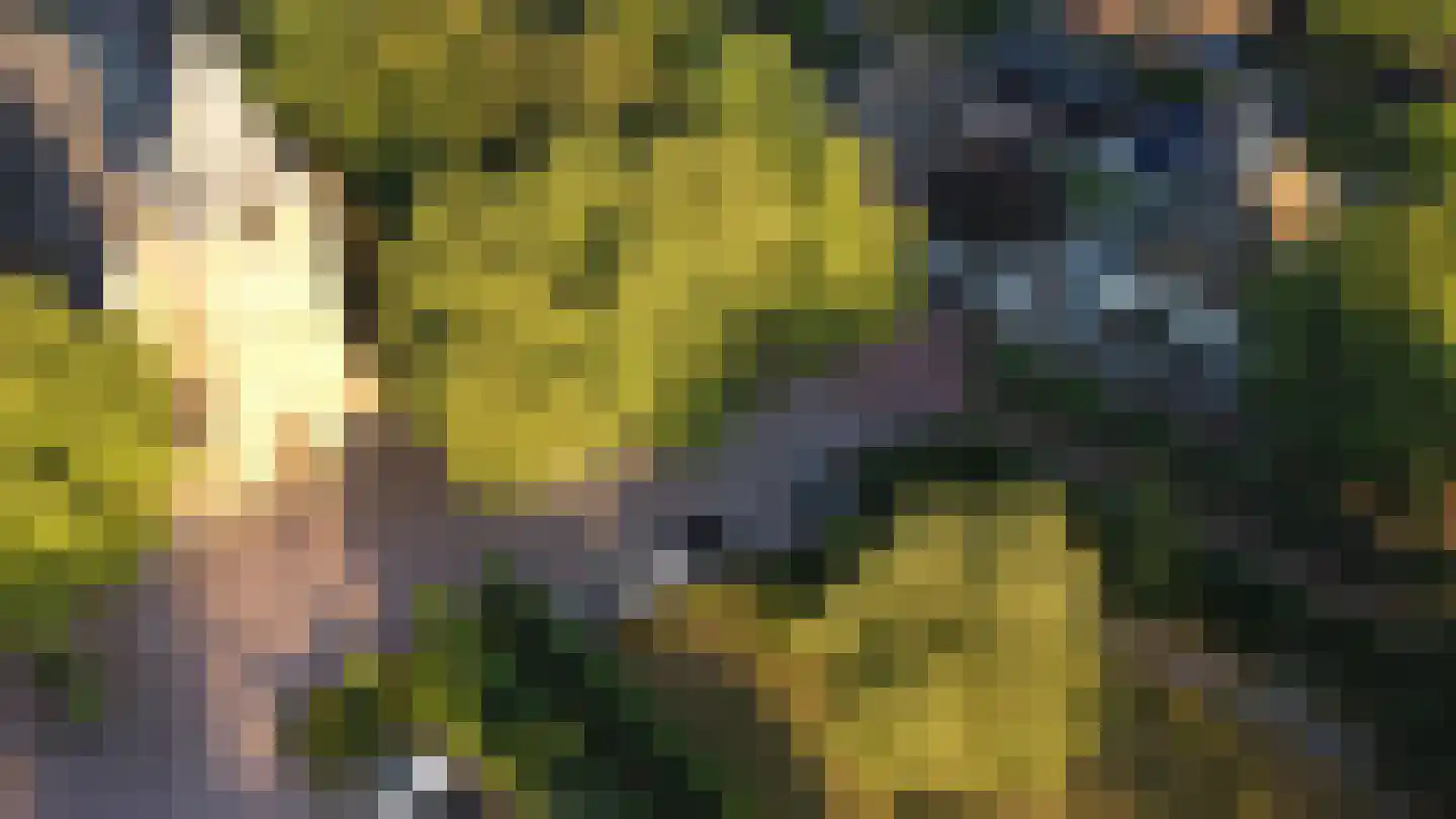 Mazenhofstraat 9 Garderen thumbnail 73