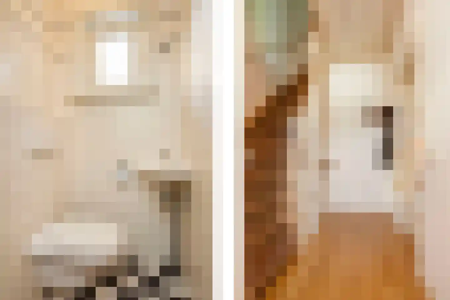 Mazijk 5 Wijk bij Duurstede thumbnail 16