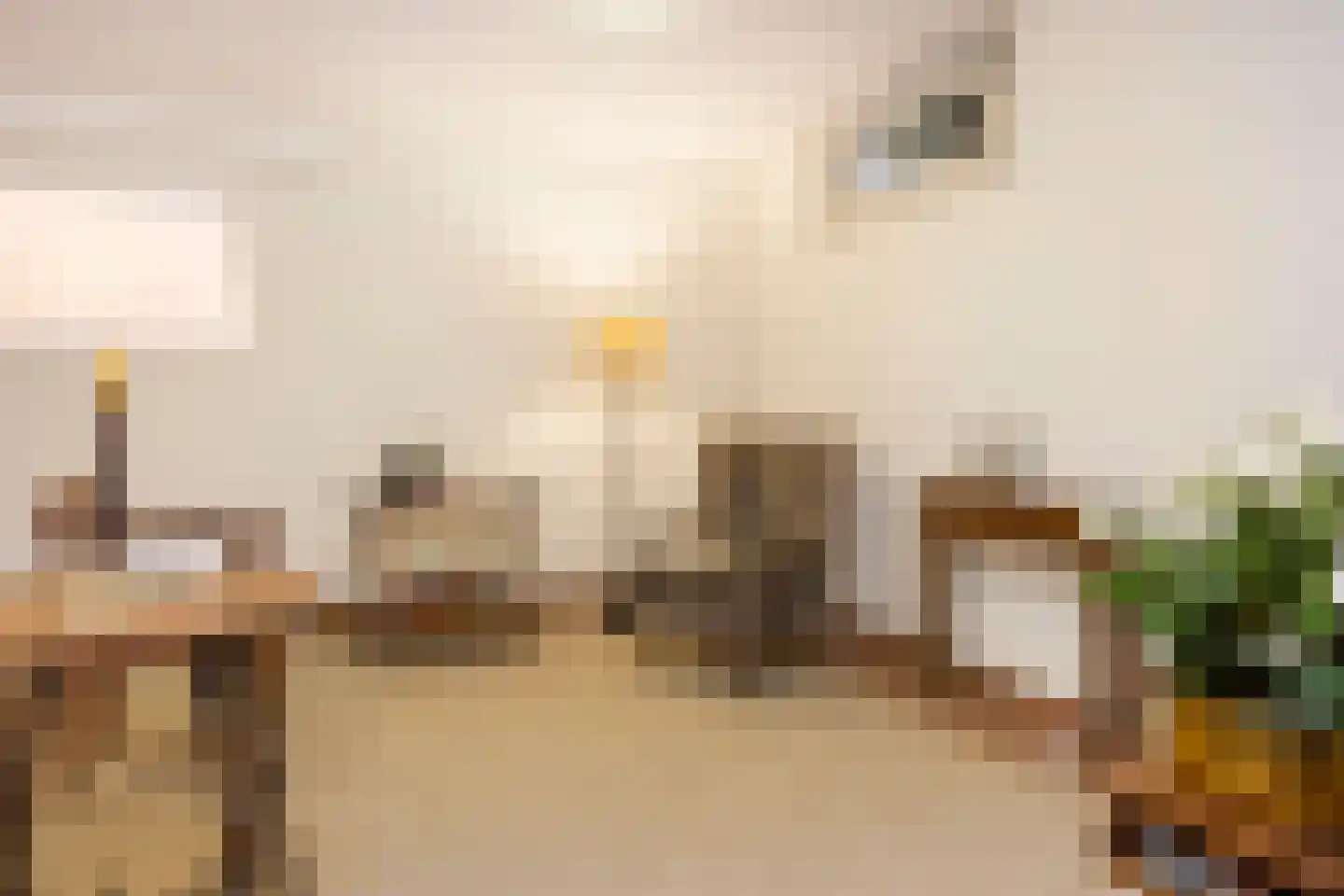 Mazijk 5 Wijk bij Duurstede thumbnail 18