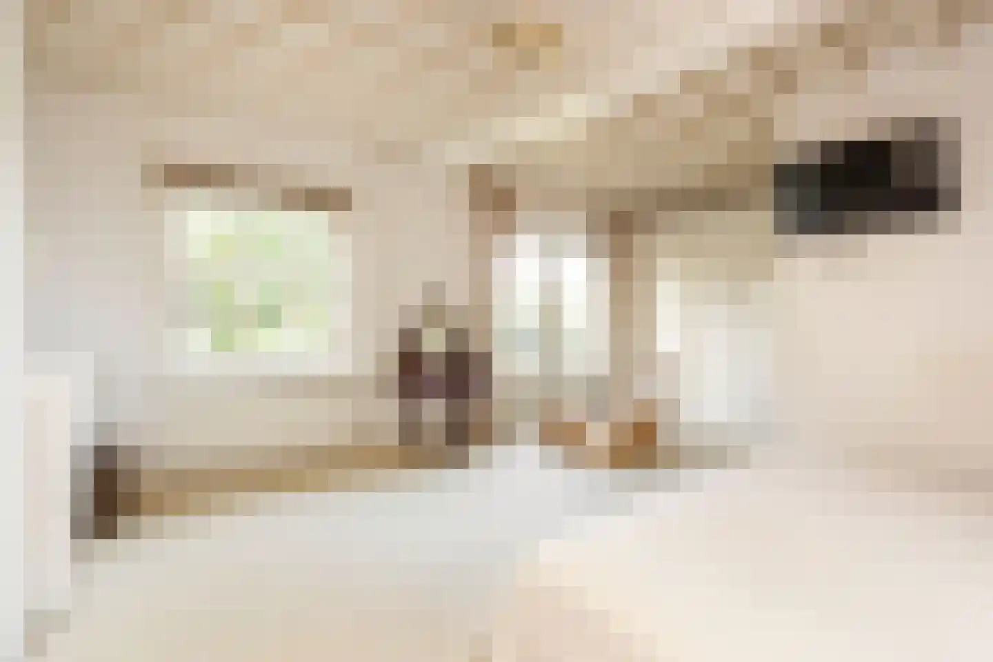 Mazijk 5 Wijk bij Duurstede thumbnail 21