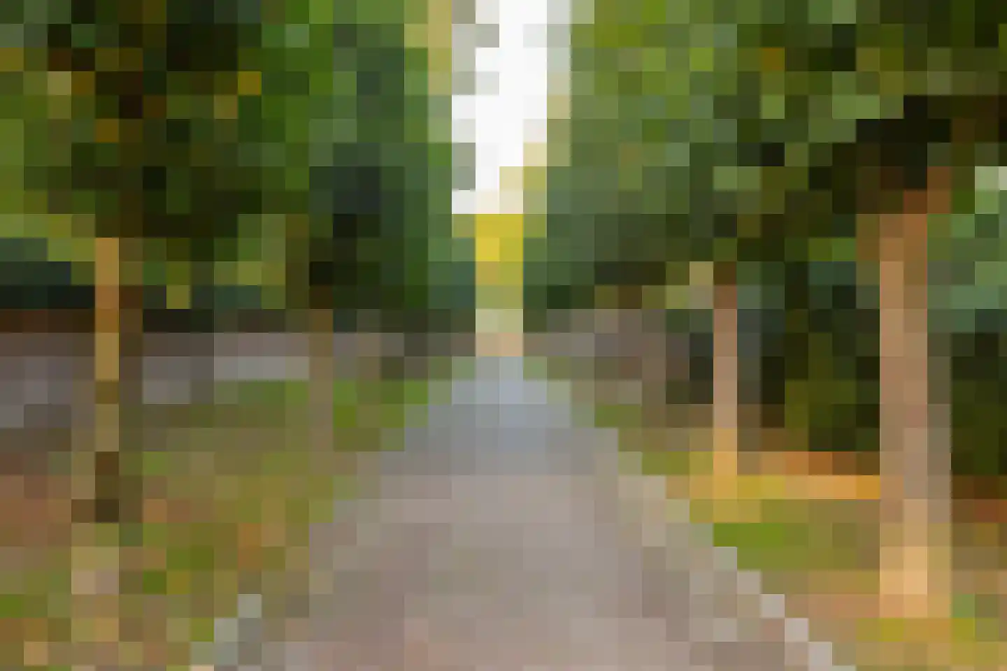 Mazijk 5 Wijk bij Duurstede thumbnail 34