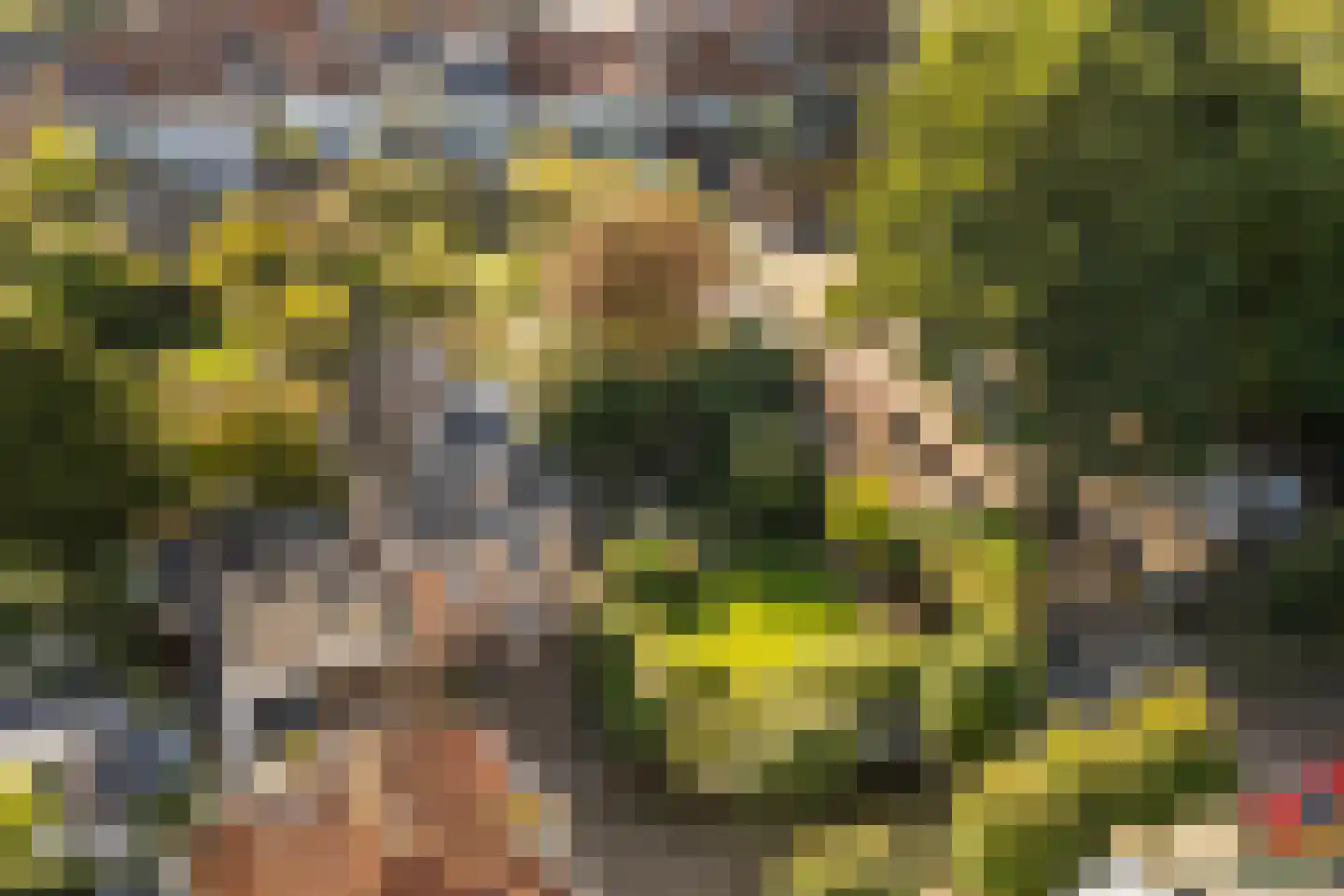 Mazijk 5 Wijk bij Duurstede thumbnail 38