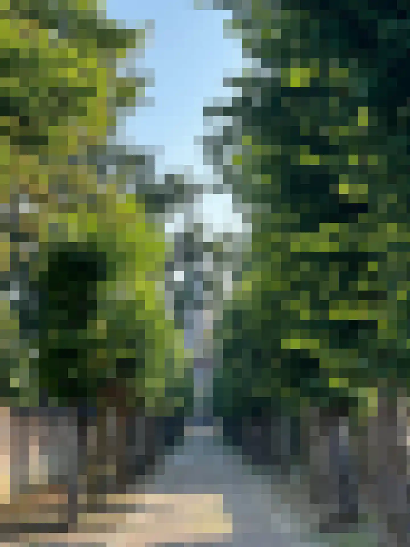 Mazijk 5 Wijk bij Duurstede thumbnail 42