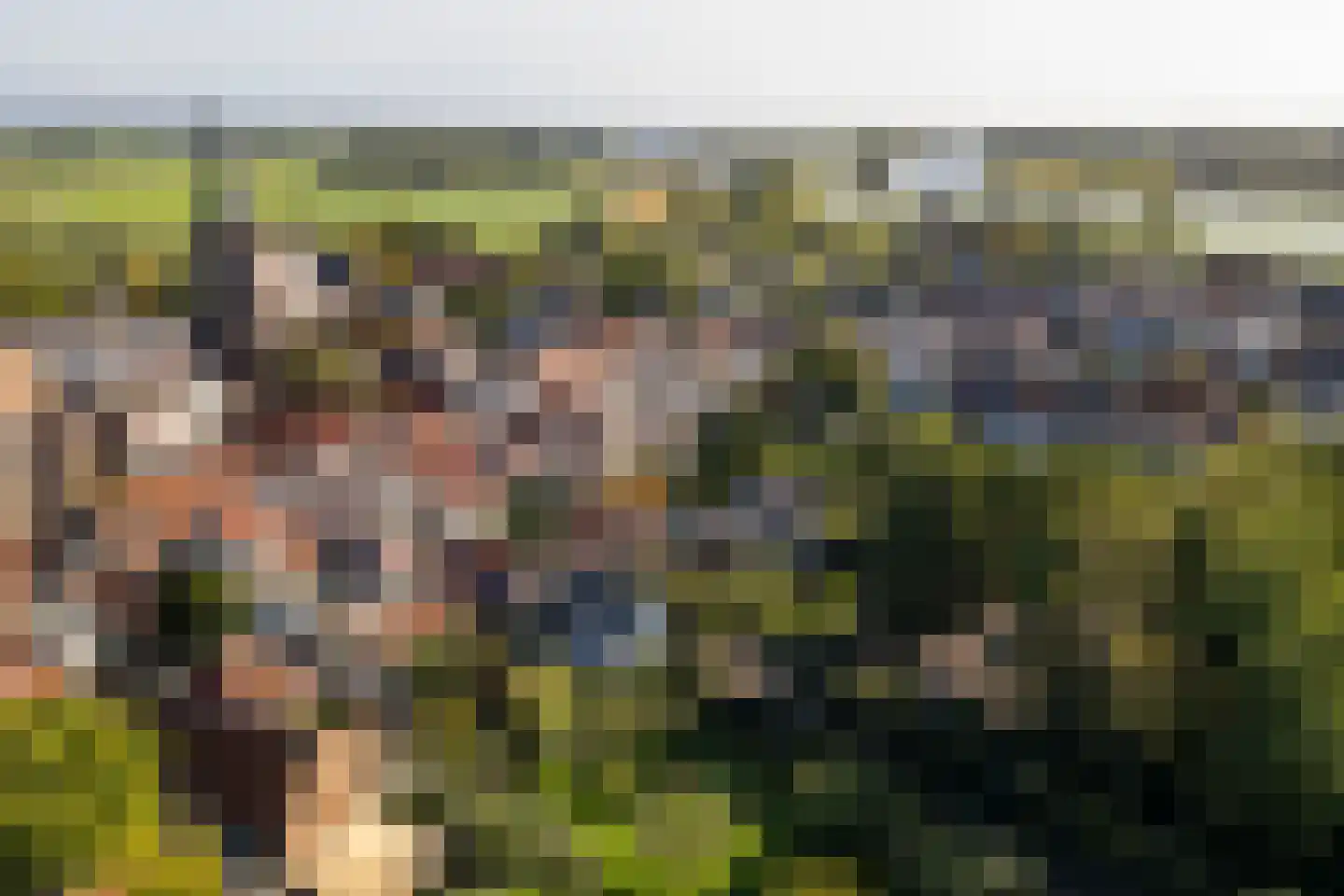 Mazijk 5 Wijk bij Duurstede thumbnail 5