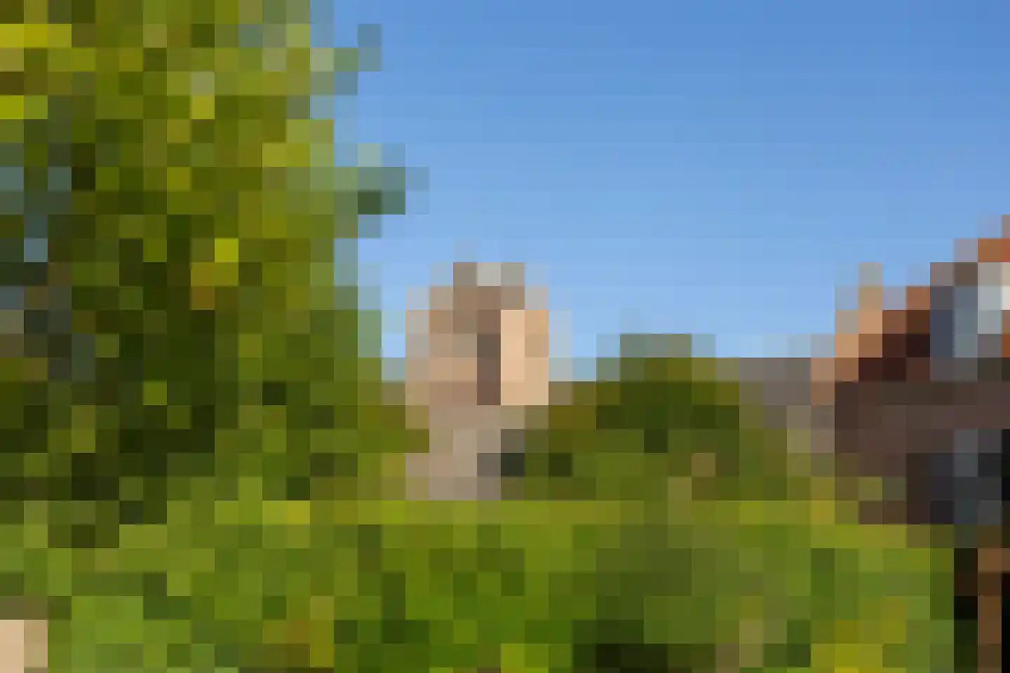 Mazijk 5 Wijk bij Duurstede thumbnail 9