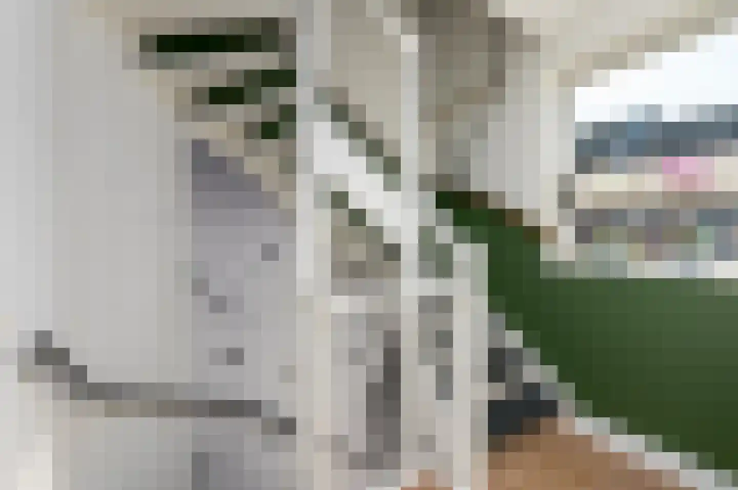 Mazureplantsoen 11 Almere thumbnail 27