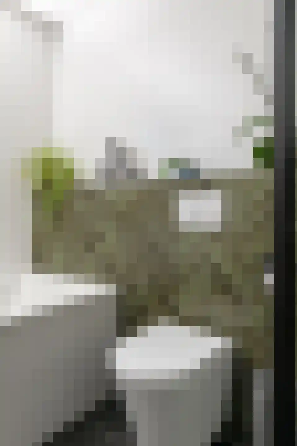 Mazureplantsoen 11 Almere thumbnail 40