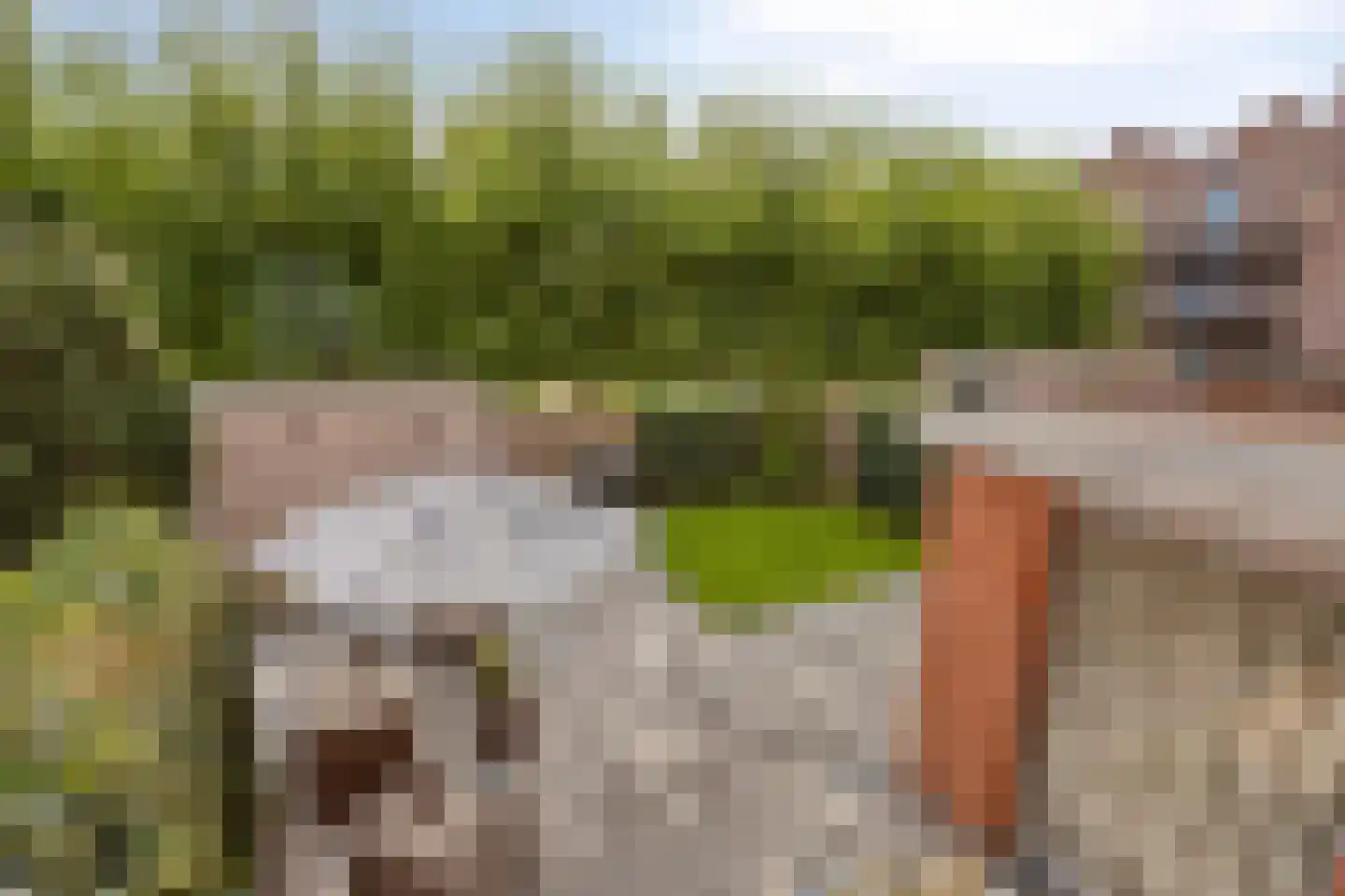 Mazureplantsoen 16 Almere thumbnail 30
