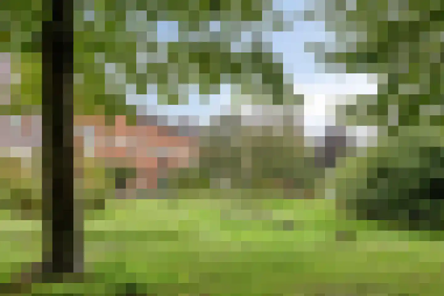 Mazureplantsoen 16 Almere thumbnail 37