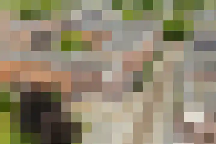 Mazureplantsoen 2 Almere thumbnail 26