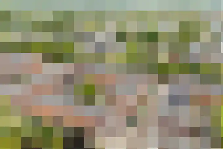 Mazureplantsoen 2 Almere thumbnail 28