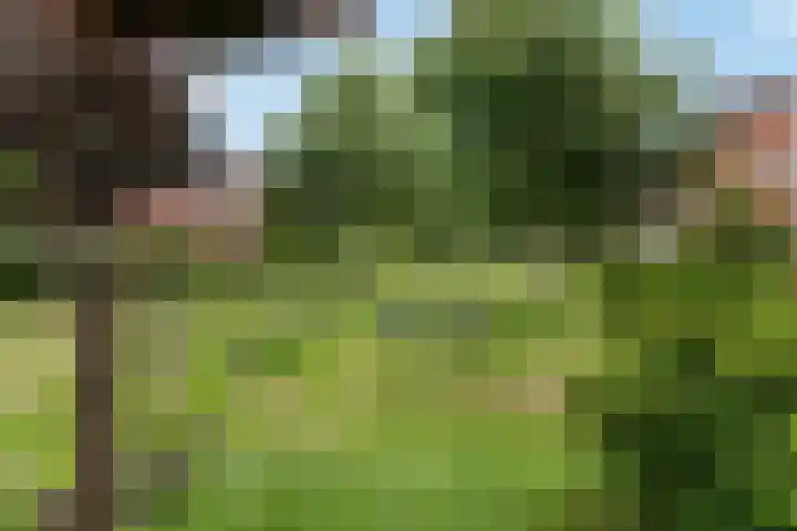 Mazureplantsoen 2 Almere thumbnail 29