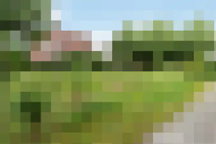 Mazureplantsoen 2 Almere thumbnail 30