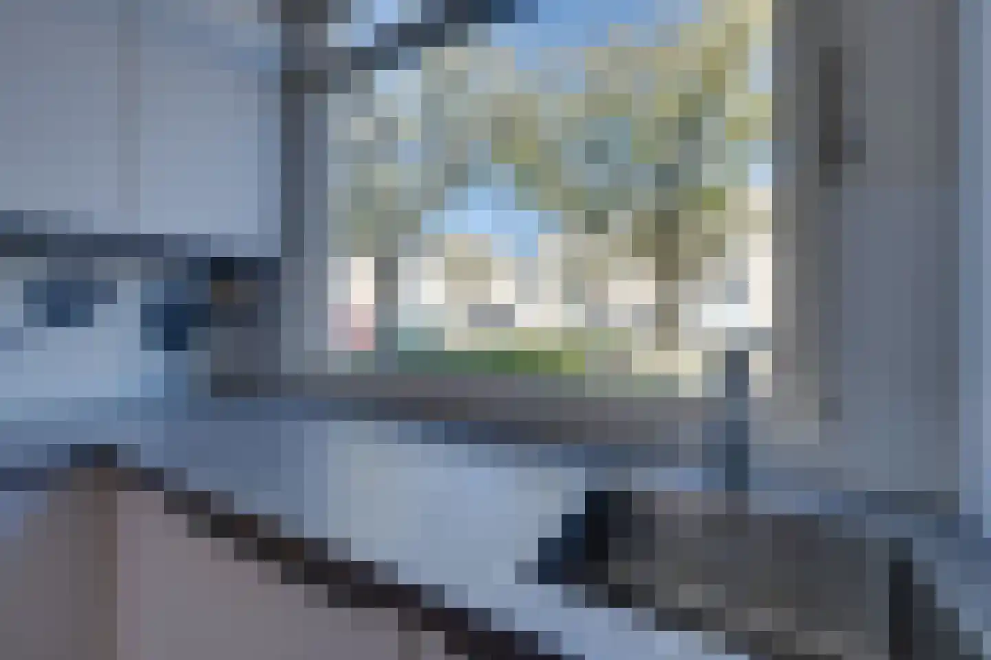 Mazurka 29 Zaandam thumbnail 20