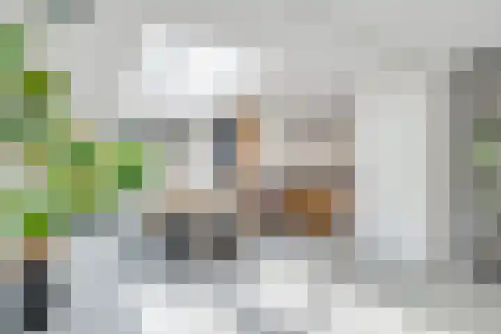 Mazurka 5 Nieuw-Vennep thumbnail 17