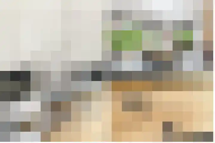 Mazurka 5 Nieuw-Vennep thumbnail 21