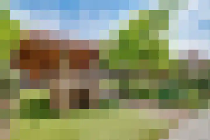 Mazurka 5 Nieuw-Vennep thumbnail 27