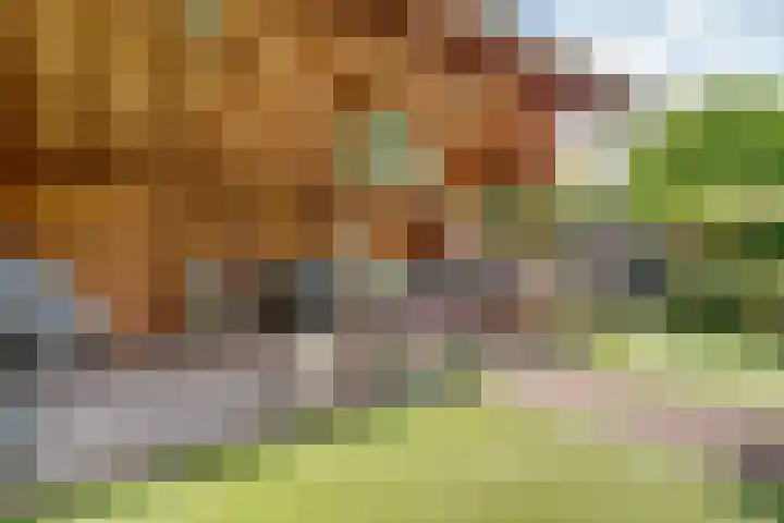 Mazurka 5 Nieuw-Vennep thumbnail 28