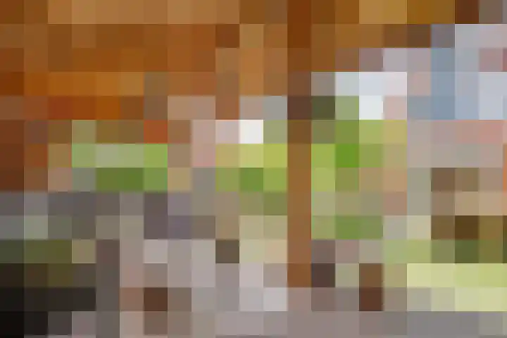 Mazurka 5 Nieuw-Vennep thumbnail 30