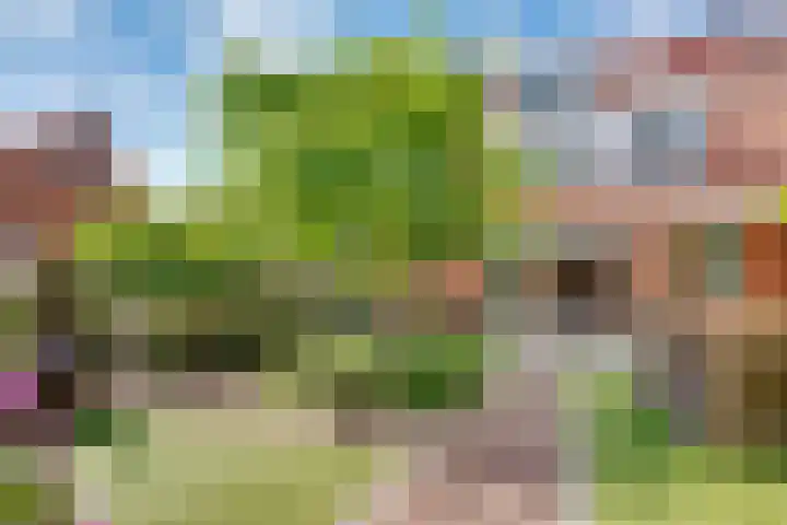Mazurka 5 Nieuw-Vennep thumbnail 33