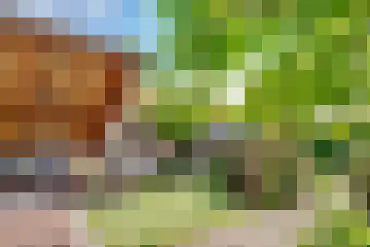 Mazurka 5 Nieuw-Vennep thumbnail 34