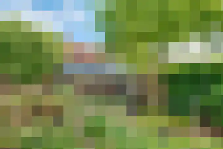 Mazurka 5 Nieuw-Vennep thumbnail 36