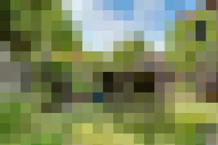 Mazurka 5 Nieuw-Vennep thumbnail 37