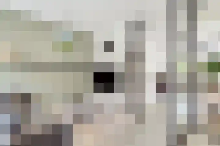 Mazurka 5 Nieuw-Vennep thumbnail 41
