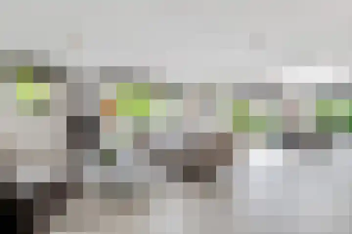 Mazurka 5 Nieuw-Vennep thumbnail 5