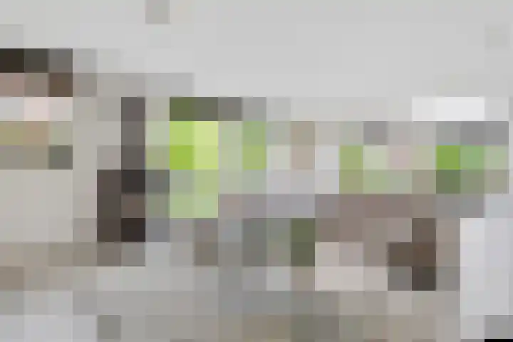Mazurka 5 Nieuw-Vennep thumbnail 6