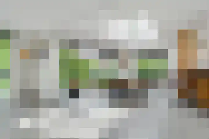 Mazurka 5 Nieuw-Vennep thumbnail 7
