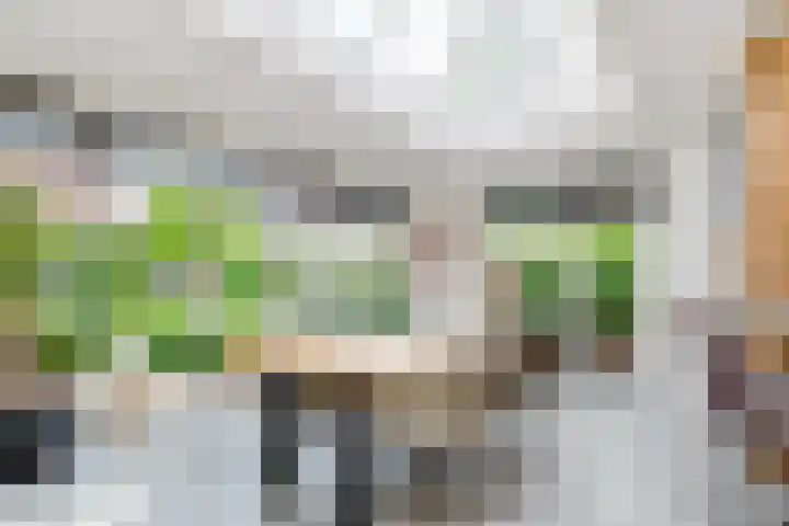 Mazurka 5 Nieuw-Vennep thumbnail 8