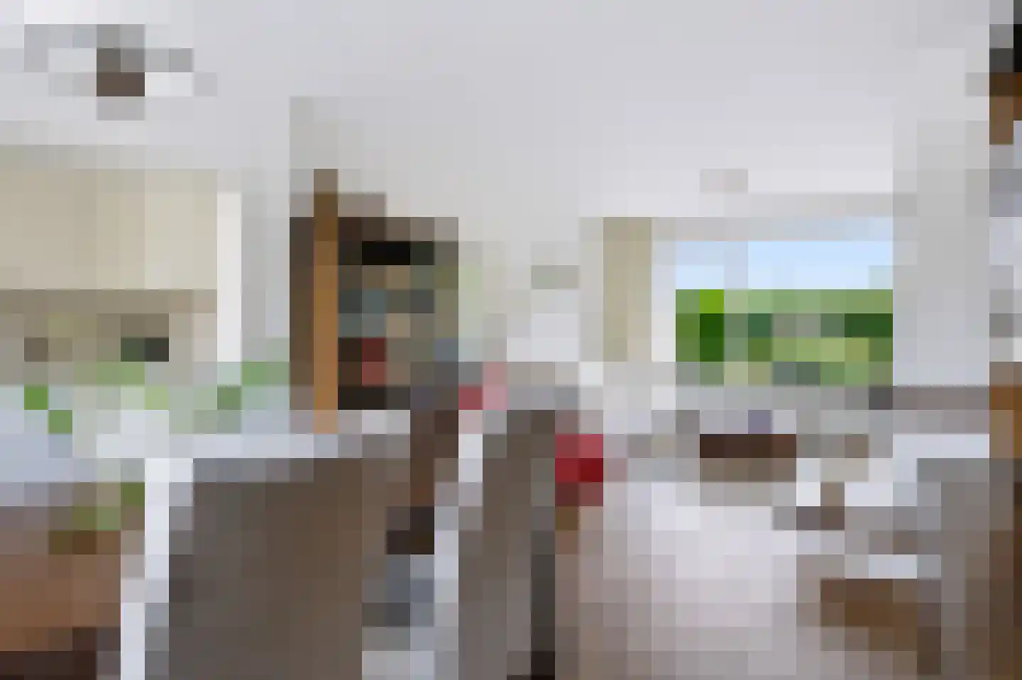 Mazurkastraat 7 Apeldoorn thumbnail 14