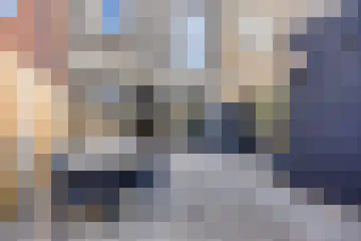 Mazustraat 48 Almere thumbnail 4