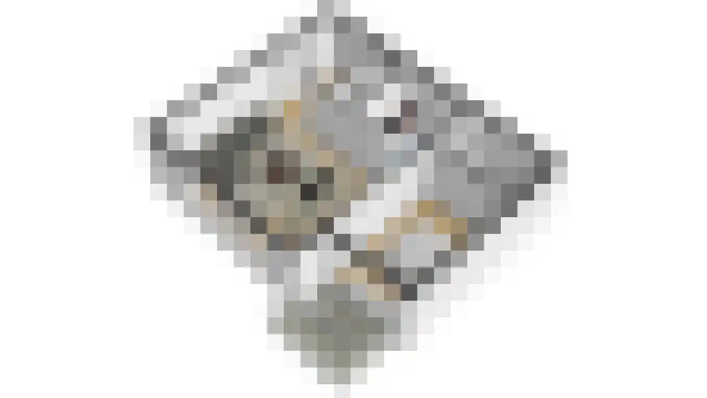 Mazzinilaan 3 Middelburg thumbnail 8