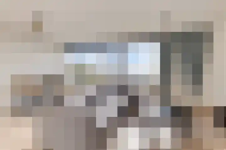 Mazzinilaan 51 Middelburg thumbnail 10