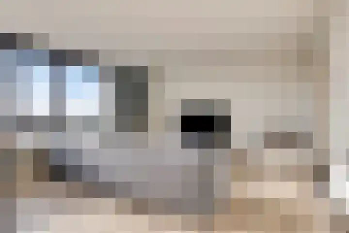 Mazzinilaan 51 Middelburg thumbnail 12
