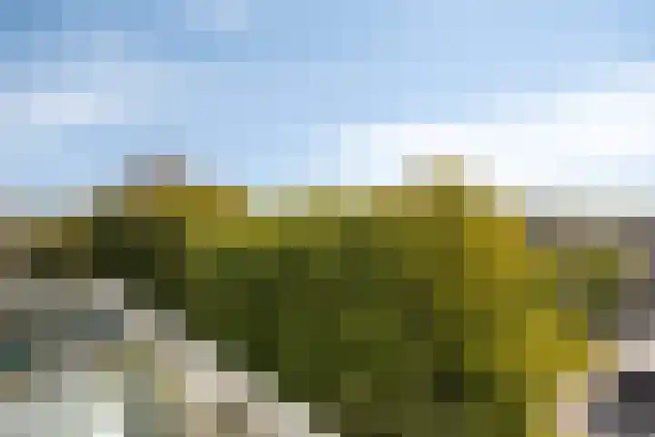 Mazzinilaan 51 Middelburg thumbnail 32